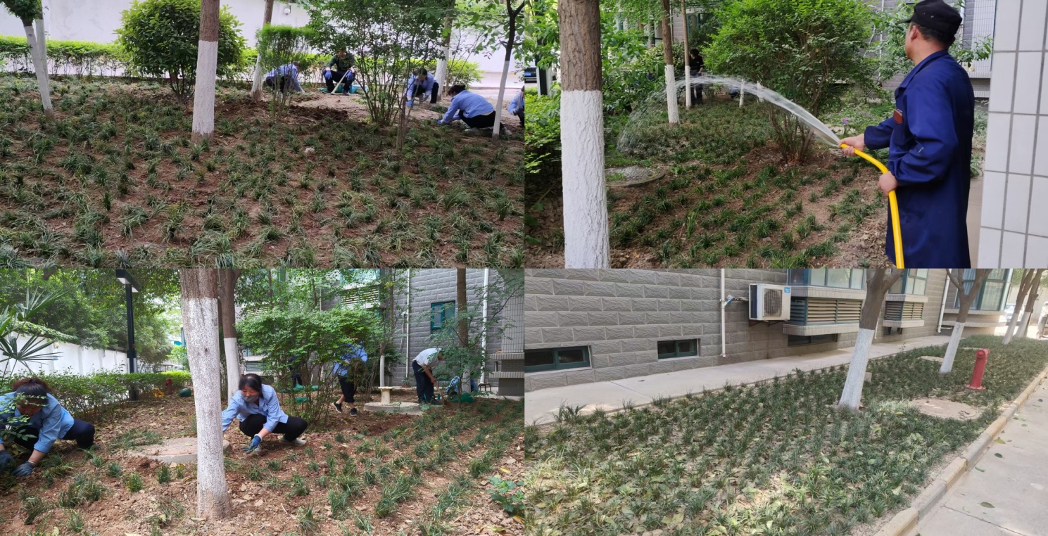 271745735822203864.jpg 圖片2.jpg